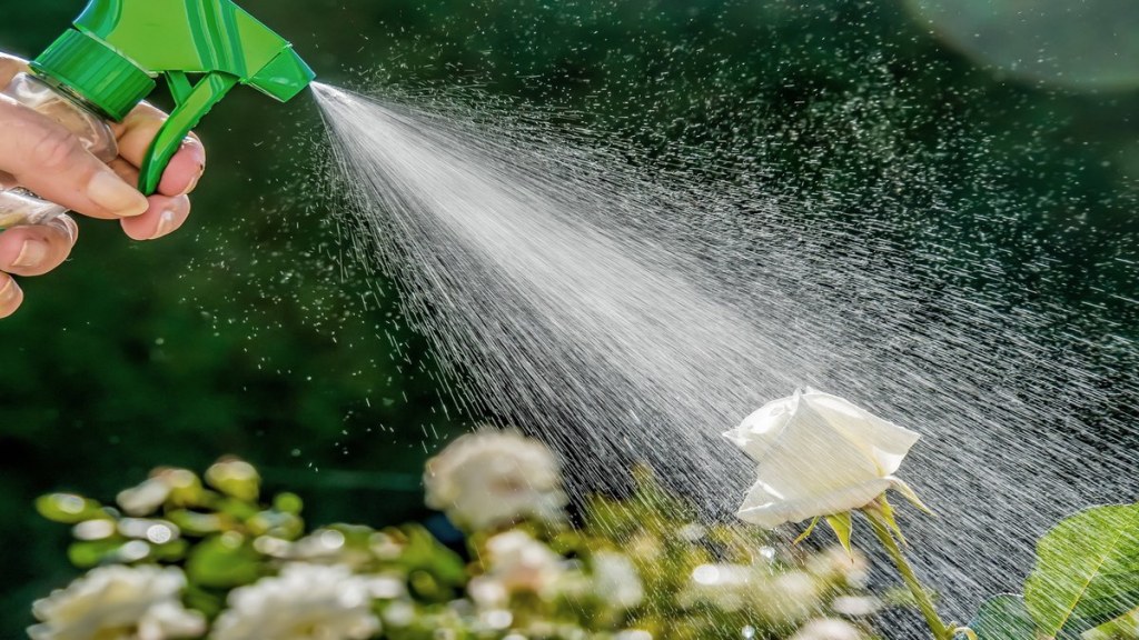 10. mýtus: postřik pesticidy je nezbytný